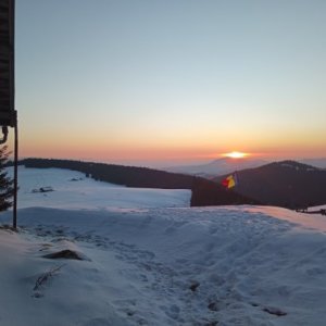 imaginea utilizatorului Liviu Scriitoru