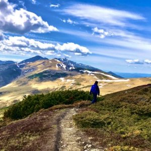 imaginea utilizatorului Cornelmorosan20