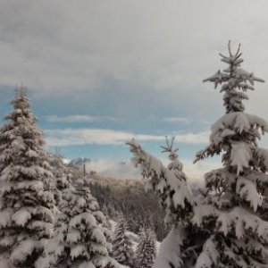 Melinda Bekő's picture