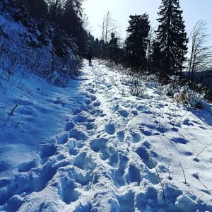 imaginea utilizatorului Tibi D