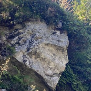 imaginea utilizatorului Marius Nicolau