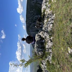 Dinescu Ioana's picture