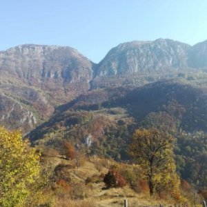 imaginea utilizatorului TotEl