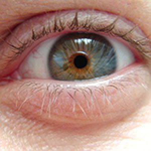 imaginea utilizatorului CristiRNC