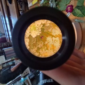 imaginea utilizatorului T.ElenaK.