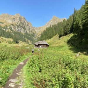 imaginea utilizatorului Nycu