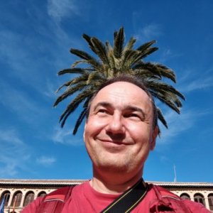 imaginea utilizatorului Sorcova