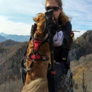 Florea Rodica's picture