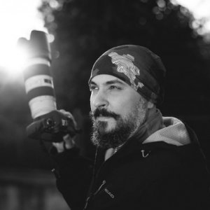 bogdanmanta29's picture