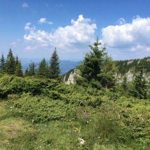 Mihaela Airinei's picture