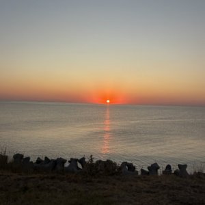 imaginea utilizatorului Elena fuduli