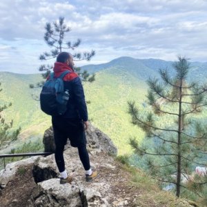 imaginea utilizatorului Octavian Grigorici