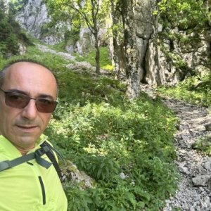 limoncu ovidiu's picture