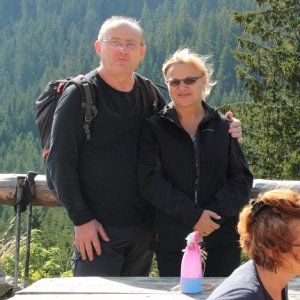 imaginea utilizatorului Vasile Palfi