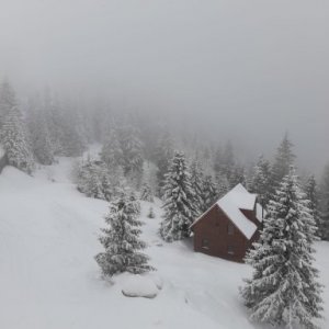 Bogan Florina's picture