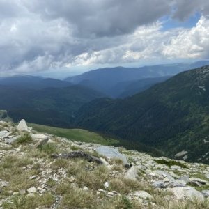 imaginea utilizatorului Gabi Baciu