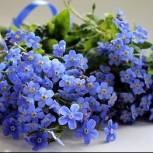 SZOCS TIBERIU's picture