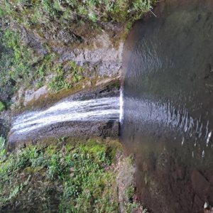 imaginea utilizatorului Ianivelciov