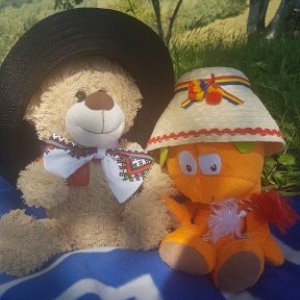 imaginea utilizatorului Ruxandra Maria Dragan