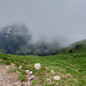 Caras Camelia's picture