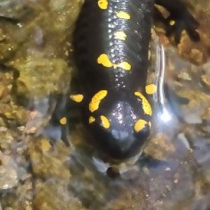 Sebastian1980's picture