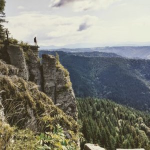 imaginea utilizatorului Miriam Pop