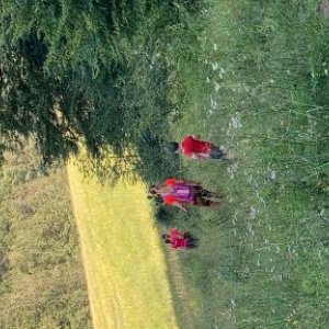 Mirceacluj2004's picture