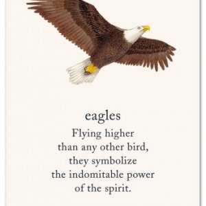 Rebeca Mindru's picture