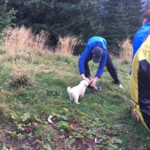 imaginea utilizatorului bogdi