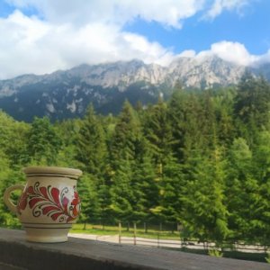 Nitu Florentina Madalina's picture