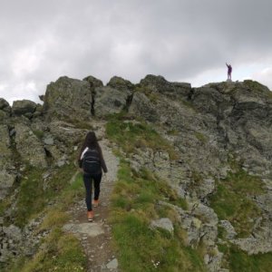 emma_tamasi's picture