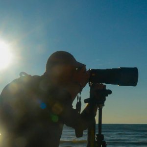 imaginea utilizatorului dragostravels