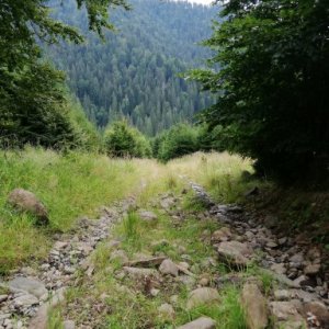 imaginea utilizatorului Claudiu Flavius Maier