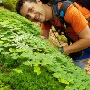 imaginea utilizatorului Andrei Tudor Chiriac