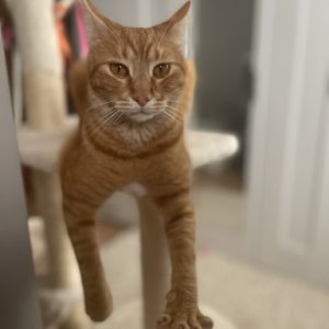 DanielMinca's picture