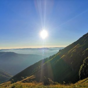 imaginea utilizatorului DavidK