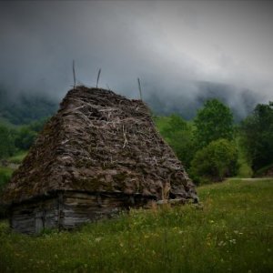 imaginea utilizatorului Ciorik