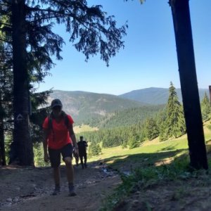 imaginea utilizatorului Andreea Crozolo