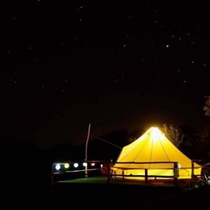 Lazar-petru's picture