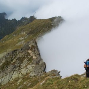 imaginea utilizatorului Delea Corina