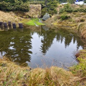 Kun Zoltan's picture