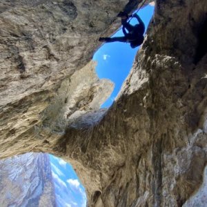 Gergely Zoltan's picture