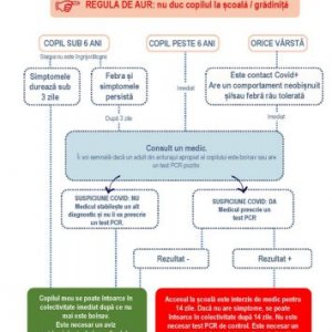 imaginea utilizatorului radu.pop