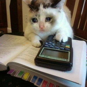 imaginea utilizatorului bodan.mitrache