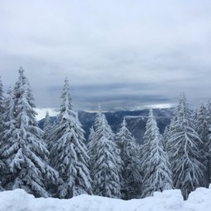 imaginea utilizatorului Miha Rusu