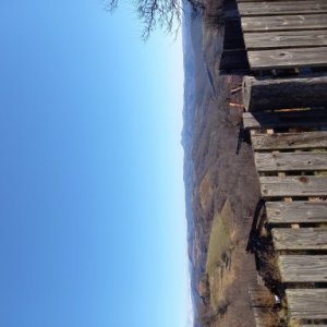 imaginea utilizatorului Bernhoffer Manuel Marius