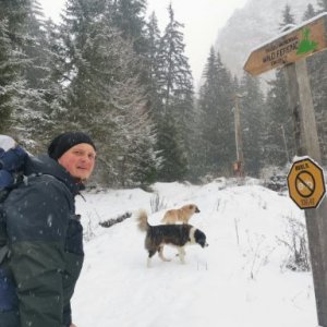 imaginea utilizatorului Morar Razvan