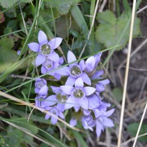 imaginea utilizatorului Mountaineering Adventures