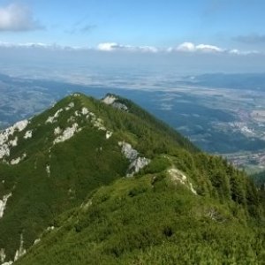 imaginea utilizatorului pascudann@gmail.com