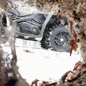 imaginea utilizatorului arpi grimm